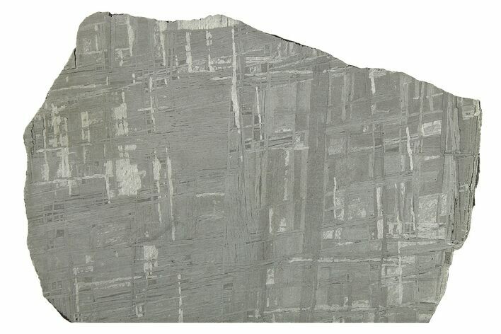 Etched Gibeon Iron Meteorite ( g) Slice - Namibia #272602